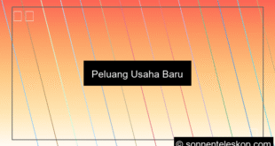 ilustrasi peluang usaha baru