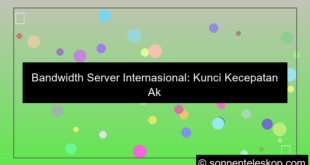 bandwidth server internasional