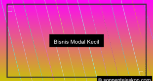 bisnis modal kecil