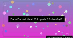 ilustrasi dana darurat ideal