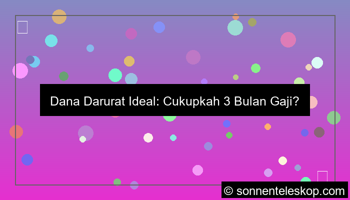 ilustrasi dana darurat ideal