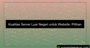 desain kualitas server luar negeri untuk website