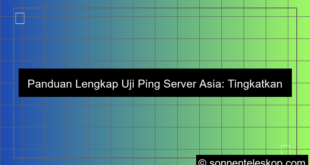 uji ping server asia