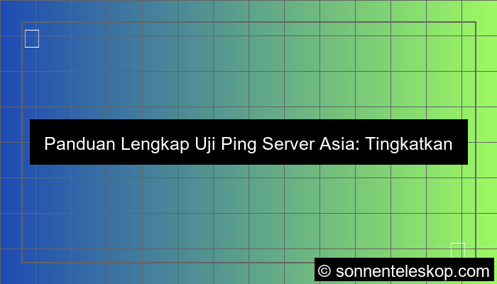 uji ping server asia