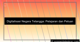 grafik digitalisasi negara tetangga